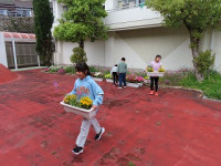 IMG_0684